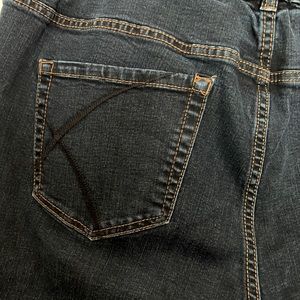 CLOSET CLEAR-OUT Lane Bryant  Jeans